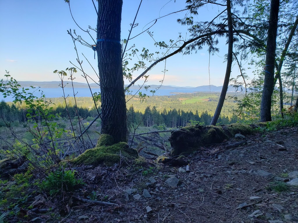 Stocking Lake | 0A8, Stocking Lake Trail, Ladysmith, BC V9G 0A8, Canada