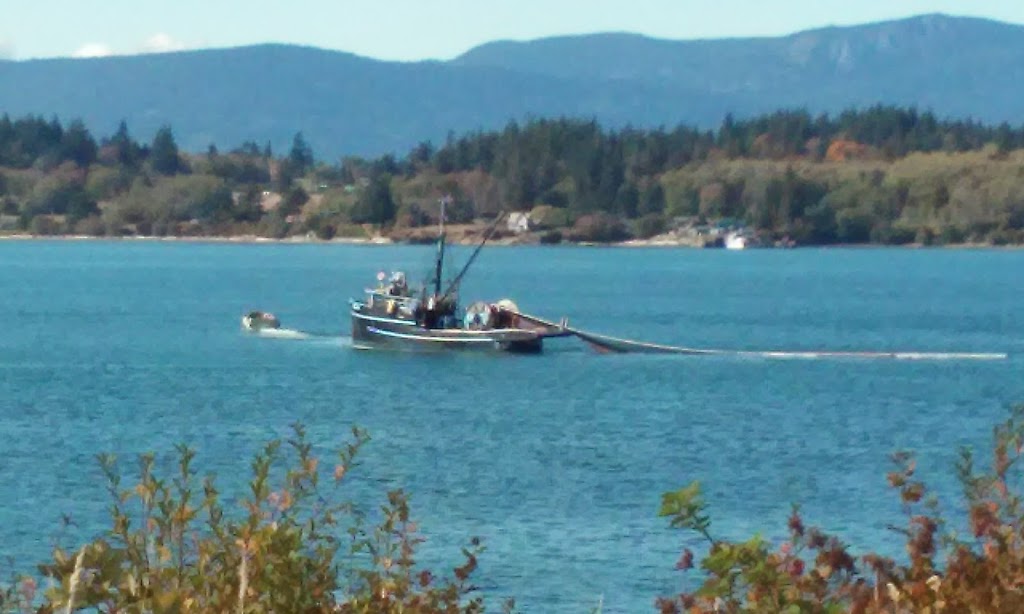 Lummi Marine Park | Bellingham, WA 98226, USA | Phone: (360) 676-2500