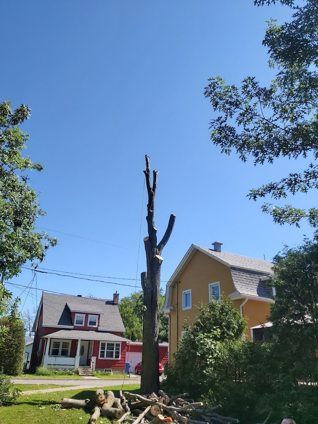Le Gars Des Arbres | 390 Rue du Domaine, Saint-Denis-sur-Richelieu, QC J0H 1K0, Canada | Phone: (450) 888-3055