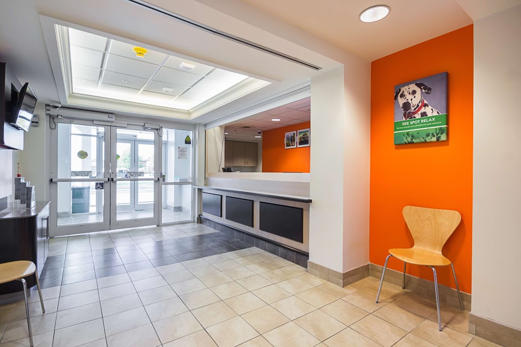 Motel 6 Toronto East - Whitby | 165 Consumers Dr, Whitby, ON L1N 1C4, Canada | Phone: (905) 665-8883