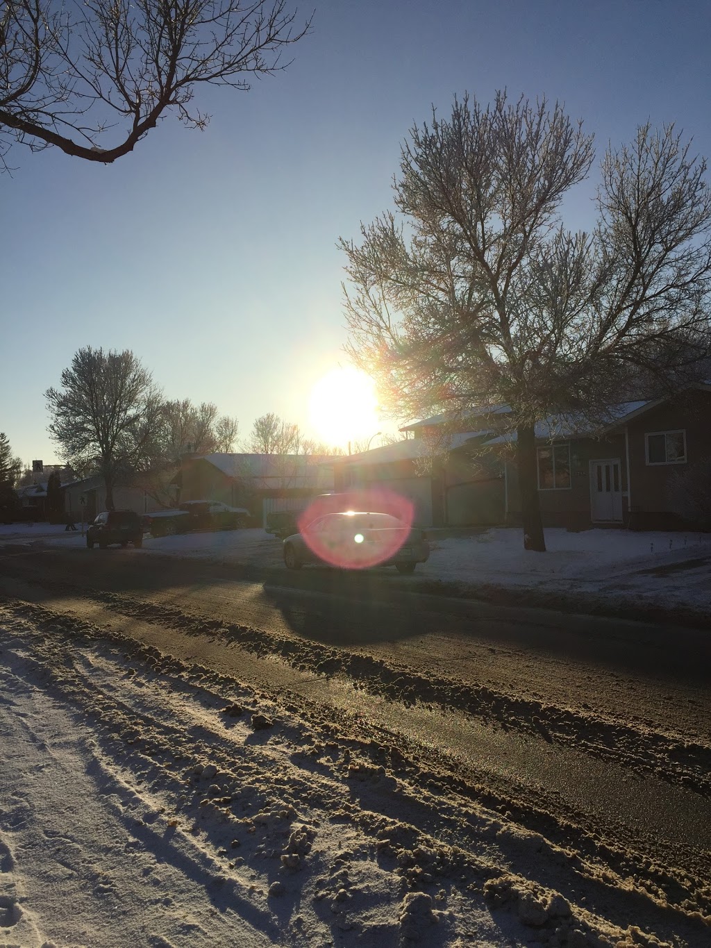 Schweitzer Park | Schweitzer Dr, Regina, SK S4V 1K1, Canada