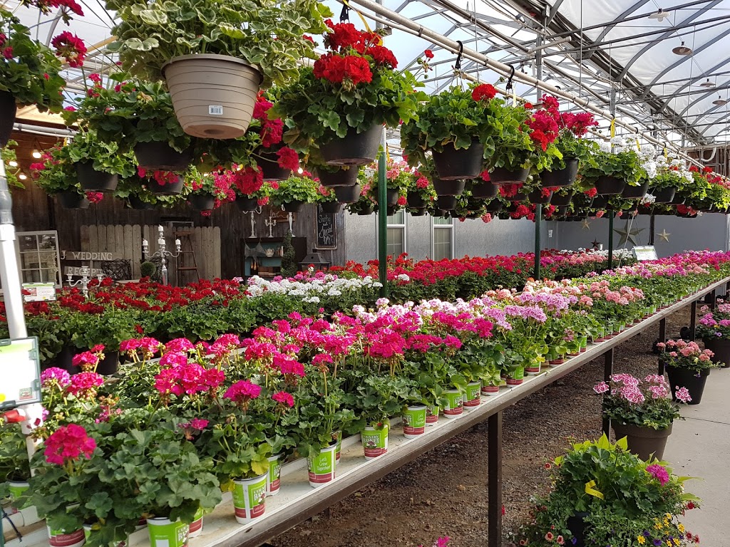 Country Basket Garden Centre & Flower Boutique | 10008 Lundys Ln, Niagara Falls, ON L2H 0T6, Canada | Phone: (905) 358-5811