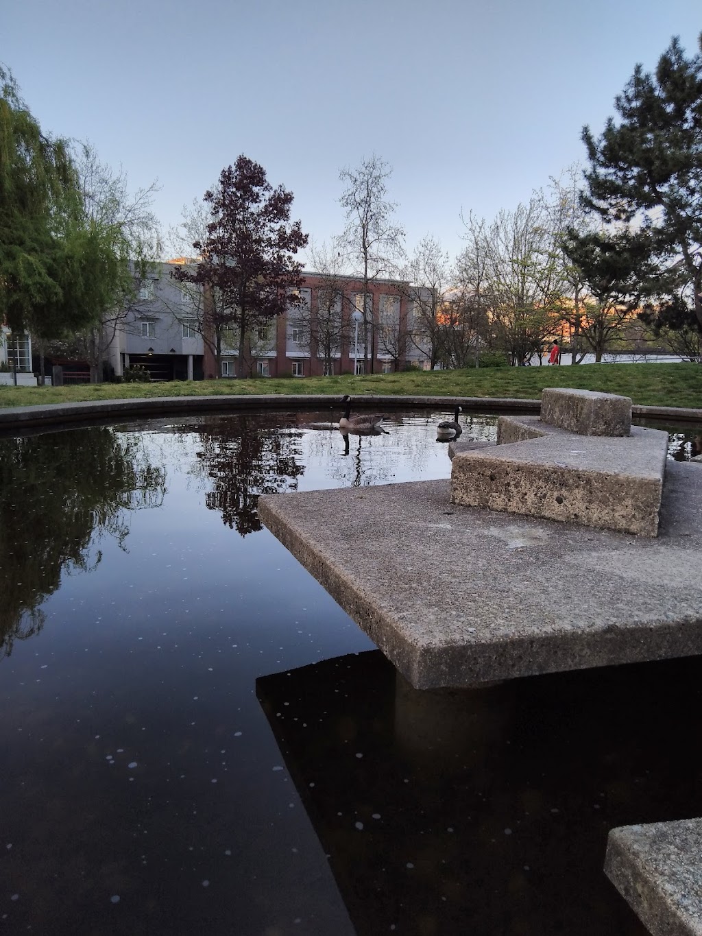 Andy Livingstone Park | 89 Expo Blvd, Vancouver, BC V6B 6N5, Canada | Phone: (236) 833-4841