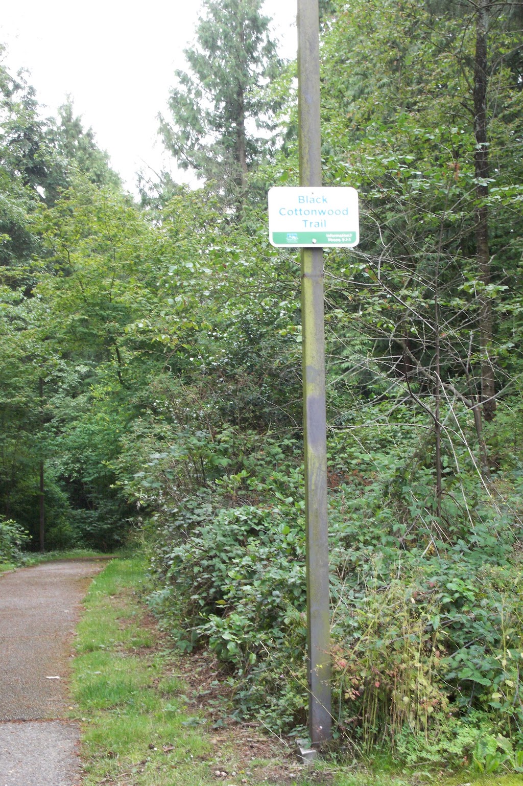 Champlain Heights Trails | Douglas Fir Trail, Vancouver, BC V5S 3Y5, Canada | Phone: (604) 873-7000