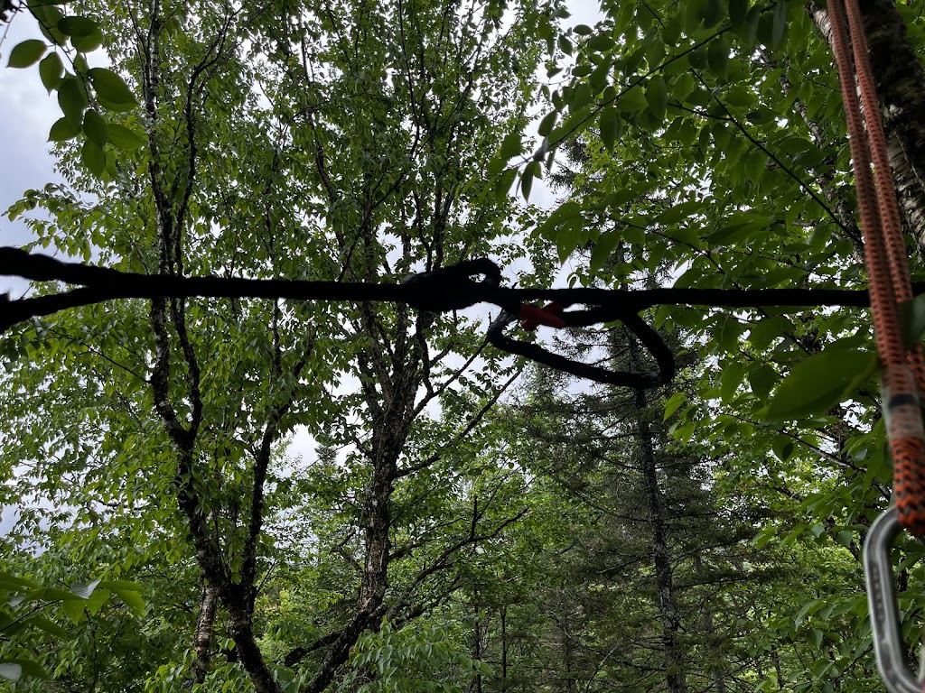 Arboriculture St-Germain | 1296 Rang Saint-Achille, Saint-Ubalde, QC G0A 4L0, Canada | Phone: (418) 326-0517