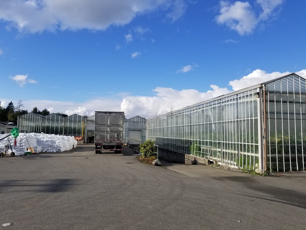 Mt Lehman Vegetable Farm | 6592 Mt Lehman Rd, Abbotsford, BC V4X 2G5, Canada | Phone: (604) 856-3360