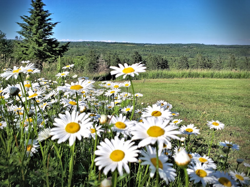 Bolerame Acres Homestay | 1054 Osborne Rd, New Germany, NS B0R 1E0, Canada | Phone: (902) 298-7773