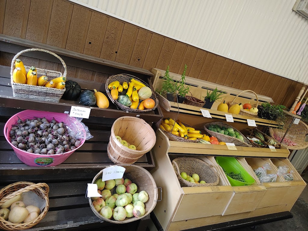 Jardins baie lactee | 1254 Chemin St Joseph, La Baie, QC G7B 3N9, Canada | Phone: (418) 446-1547