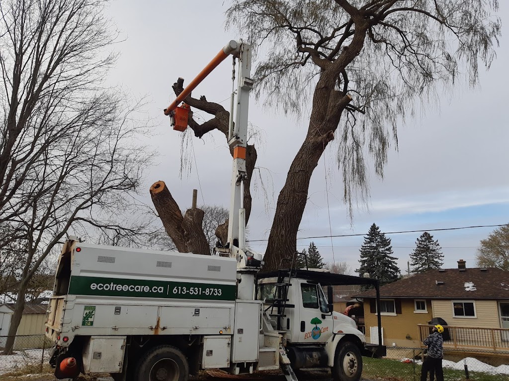 Eco Tree Care | 2375 ON-15, Kingston, ON K7L 4V3, Canada | Phone: (613) 531-8733