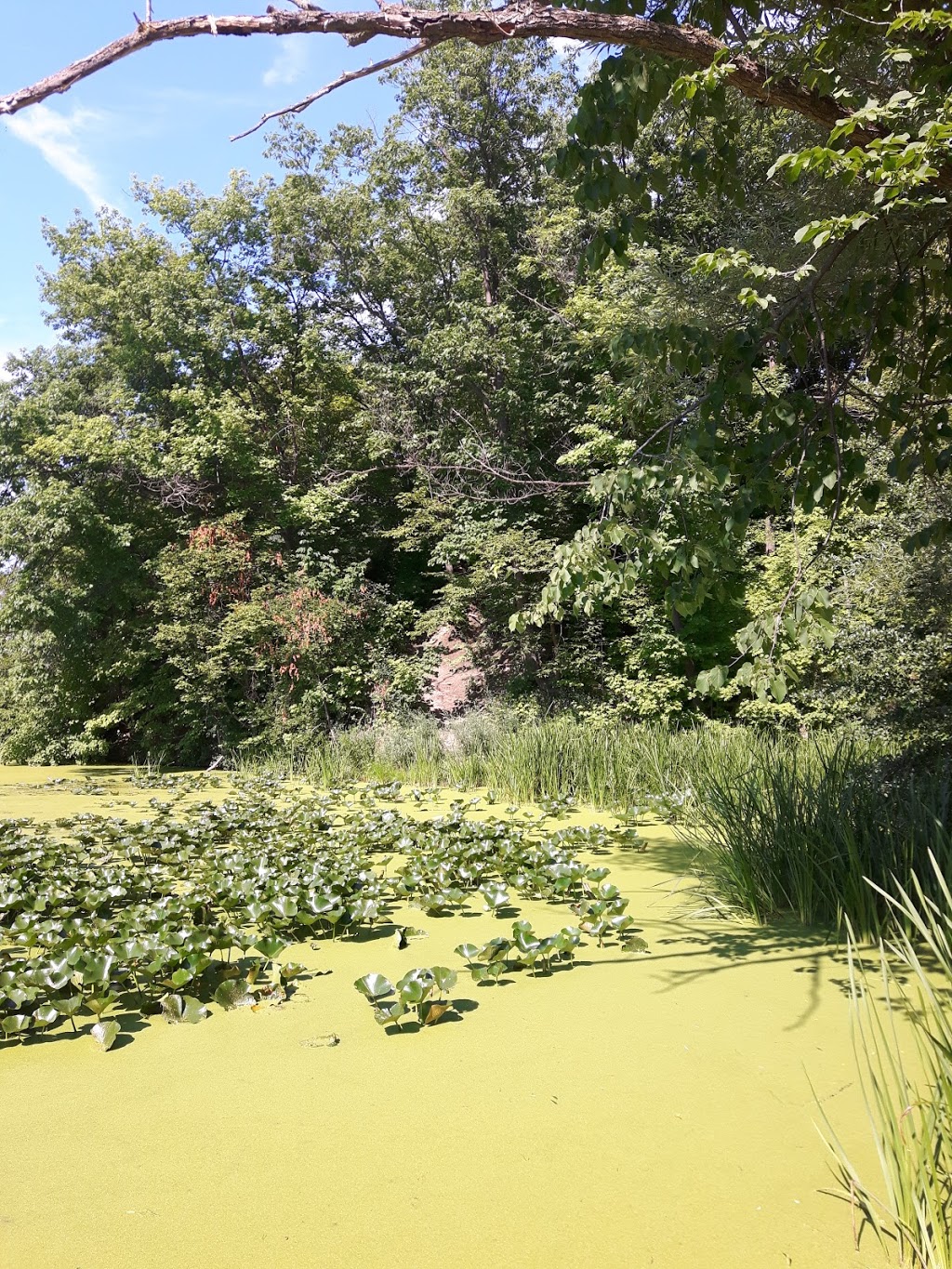 Green Ribbon Trail | 1258 Old Martindale Rd, St. Catharines, ON L2R 6P9, Canada