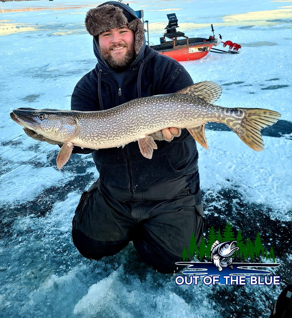 Out of the Blue Aquatic Adventures | 281 River Ave, Winnipeg, MB R3L 0B7, Canada | Phone: (204) 751-0053