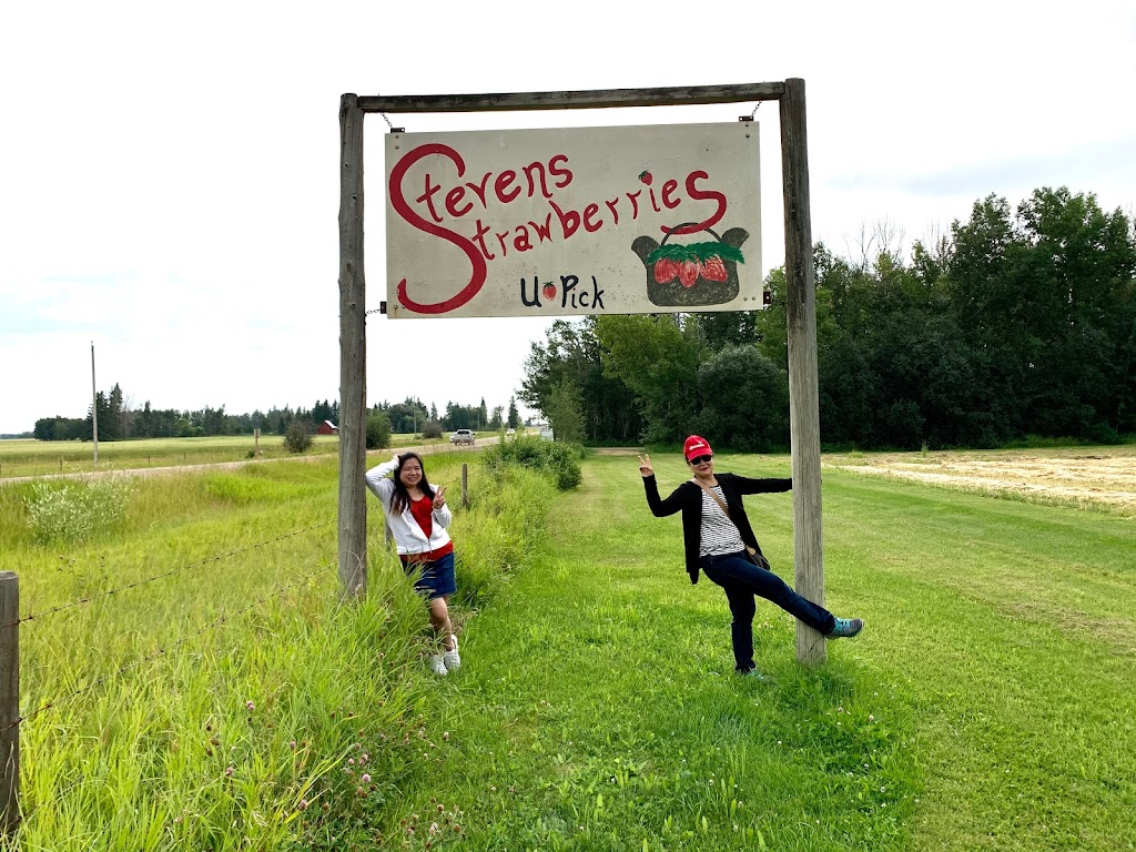 Stevens Strawberries | AB-13, Alberta T9A 1W8, Canada | Phone: (780) 352-2924