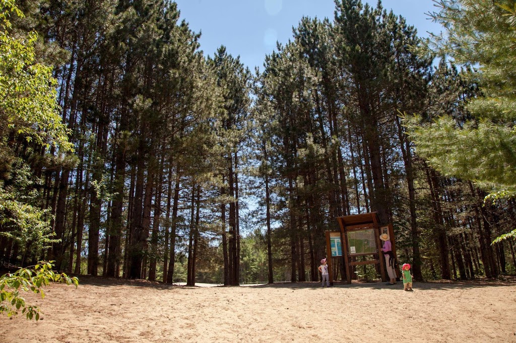 Pine Grove | Pine Grove Trail, Ottawa, ON K1G 3N4, Canada | Phone: (613) 239-5000