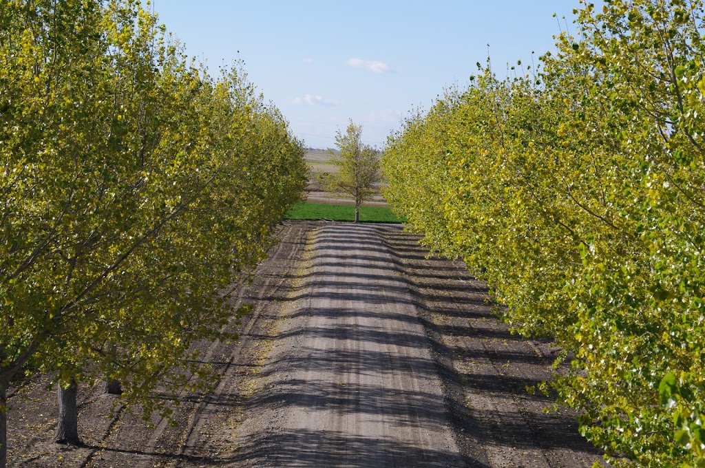 Country Lane Farms | Wheatland County, AB T0J 1Y0, Canada | Phone: (403) 934-2755