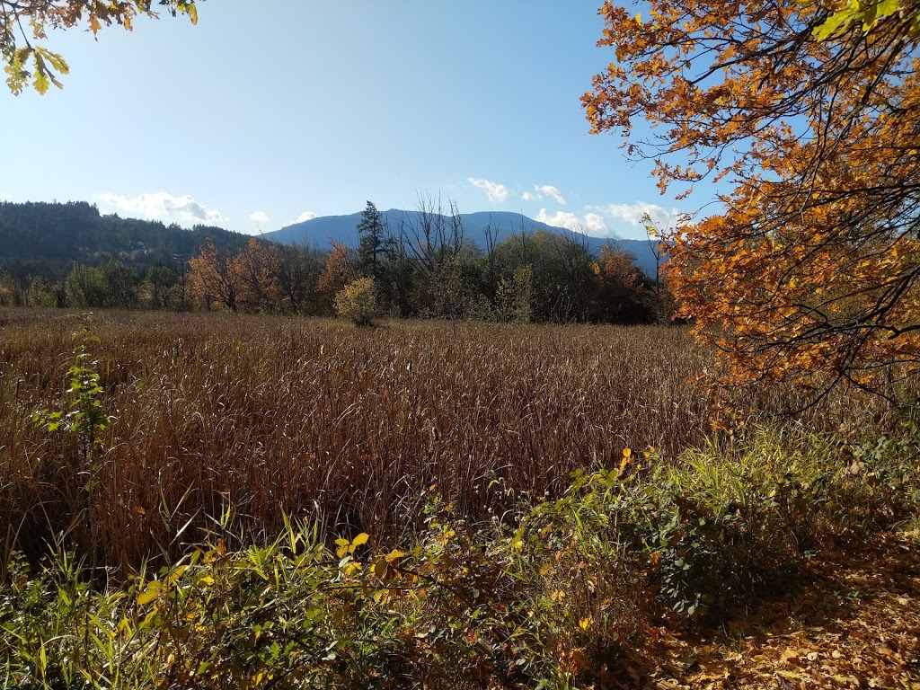 Buttertubs Marsh Park | 197 Bird Sanctuary Dr, Nanaimo, BC V9R 6G8, Canada | Phone: (250) 754-4251