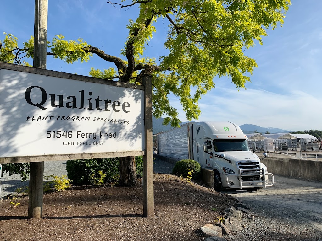 Qualitree Propagators Inc | 51546 Ferry Rd, Rosedale, BC V0X 1X2, Canada | Phone: (604) 794-3375