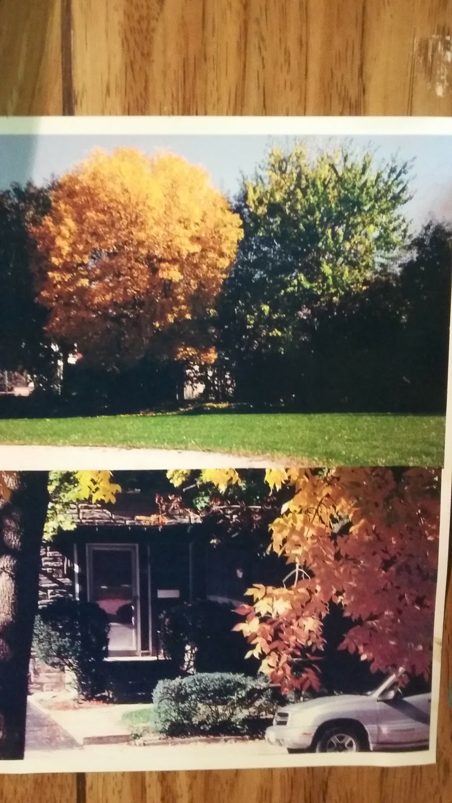 Pearen Park | 30 Pearen St, Toronto, ON M6M, Canada | Phone: (416) 338-4386