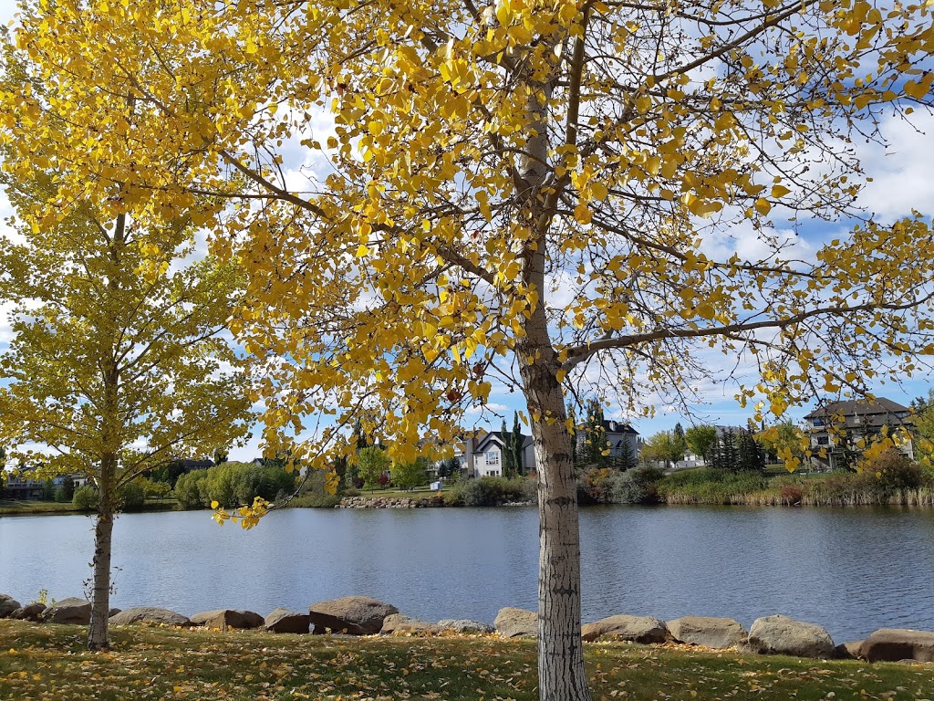 Pirate Park | 6 Elgin Terrace, Calgary, AB T2Z 4B7, Canada