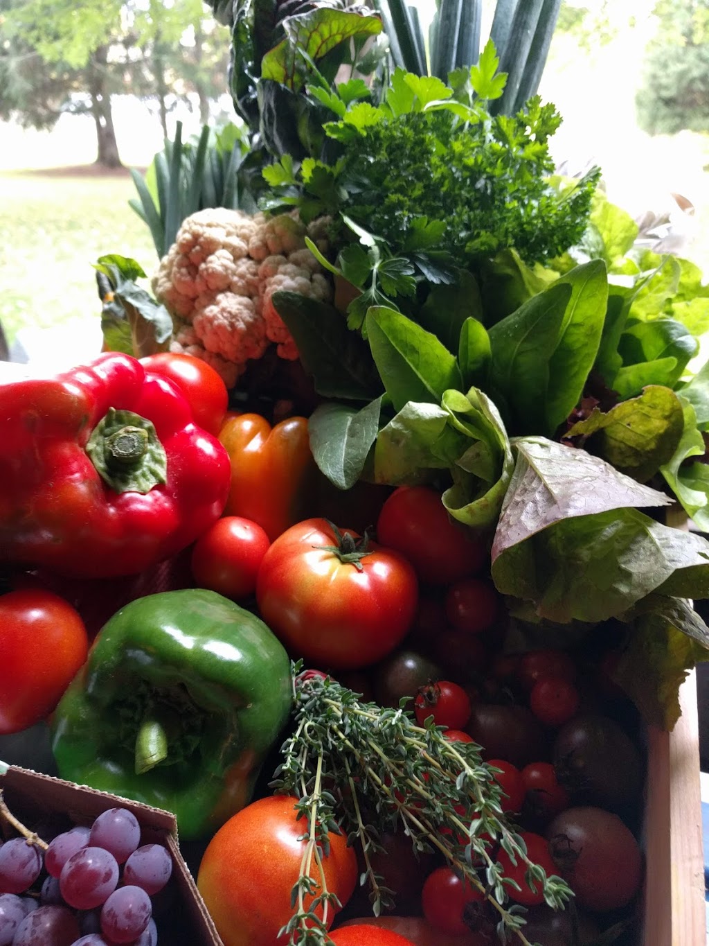 Jardins Naturador | 1000 Chemin Saint Jacques, Crabtree, QC J0K 1B0, Canada | Phone: (438) 862-3182
