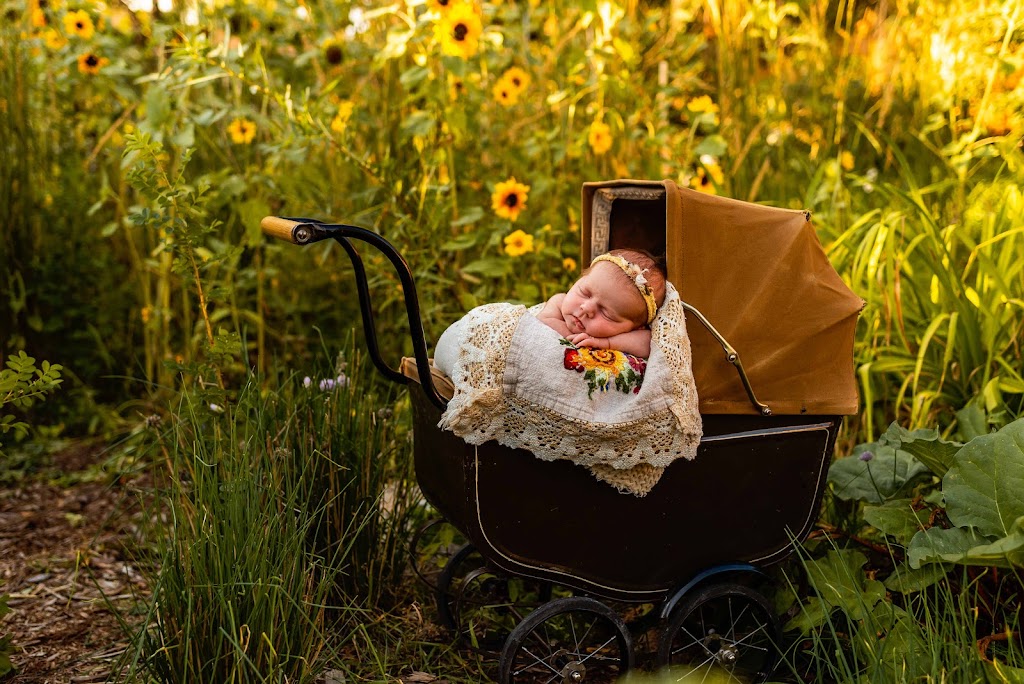 Rustic Rabbit Photography | 2416 20 St, Delburne, AB T0M 0V0, Canada | Phone: (403) 352-2636