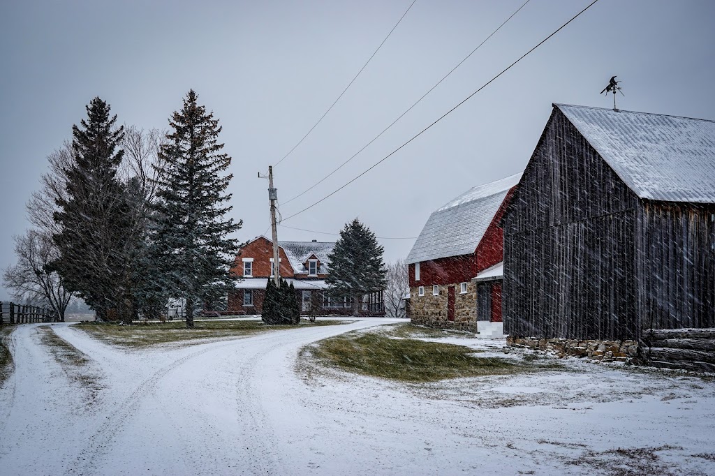 Red Barn Bites | 2225 Old Second Line Rd, Dunrobin, ON K0A 1T0, Canada | Phone: (613) 884-2684