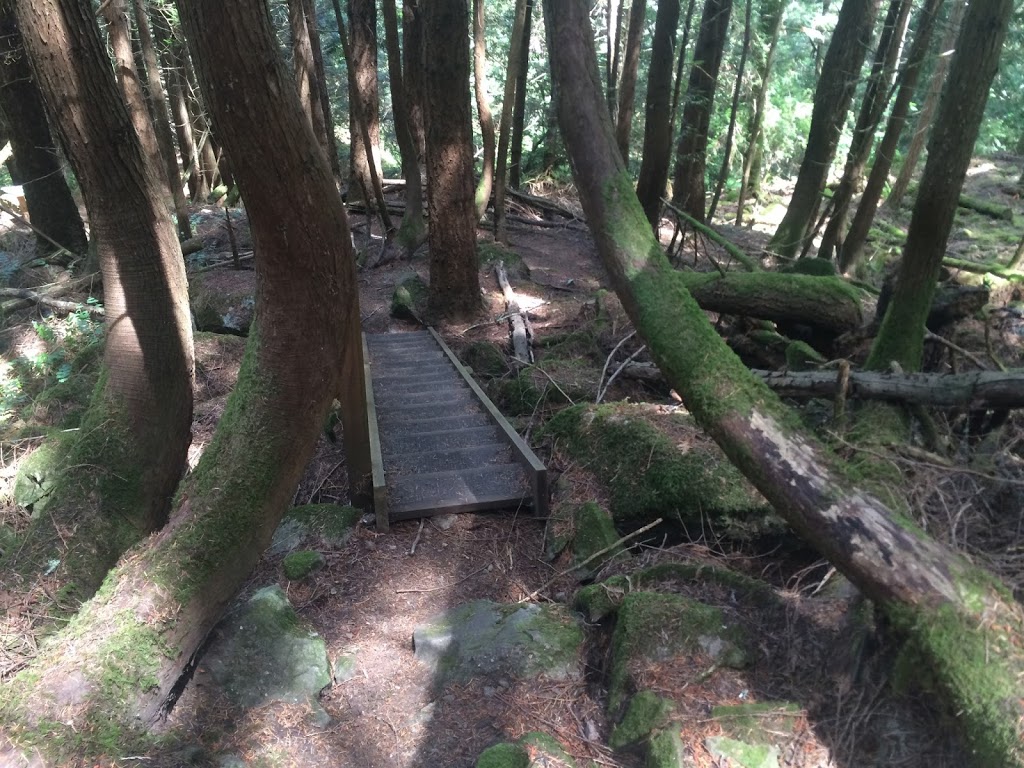 Found Road Trail | Canal Rd, Pender Island, BC V0N 2M3, Canada