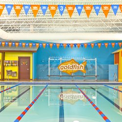 Goldfish Swim School - Burlington ONT | 3060 Davidson Ct Unit 1006, Burlington, ON L7M 4X7, Canada | Phone: (905) 581-0086