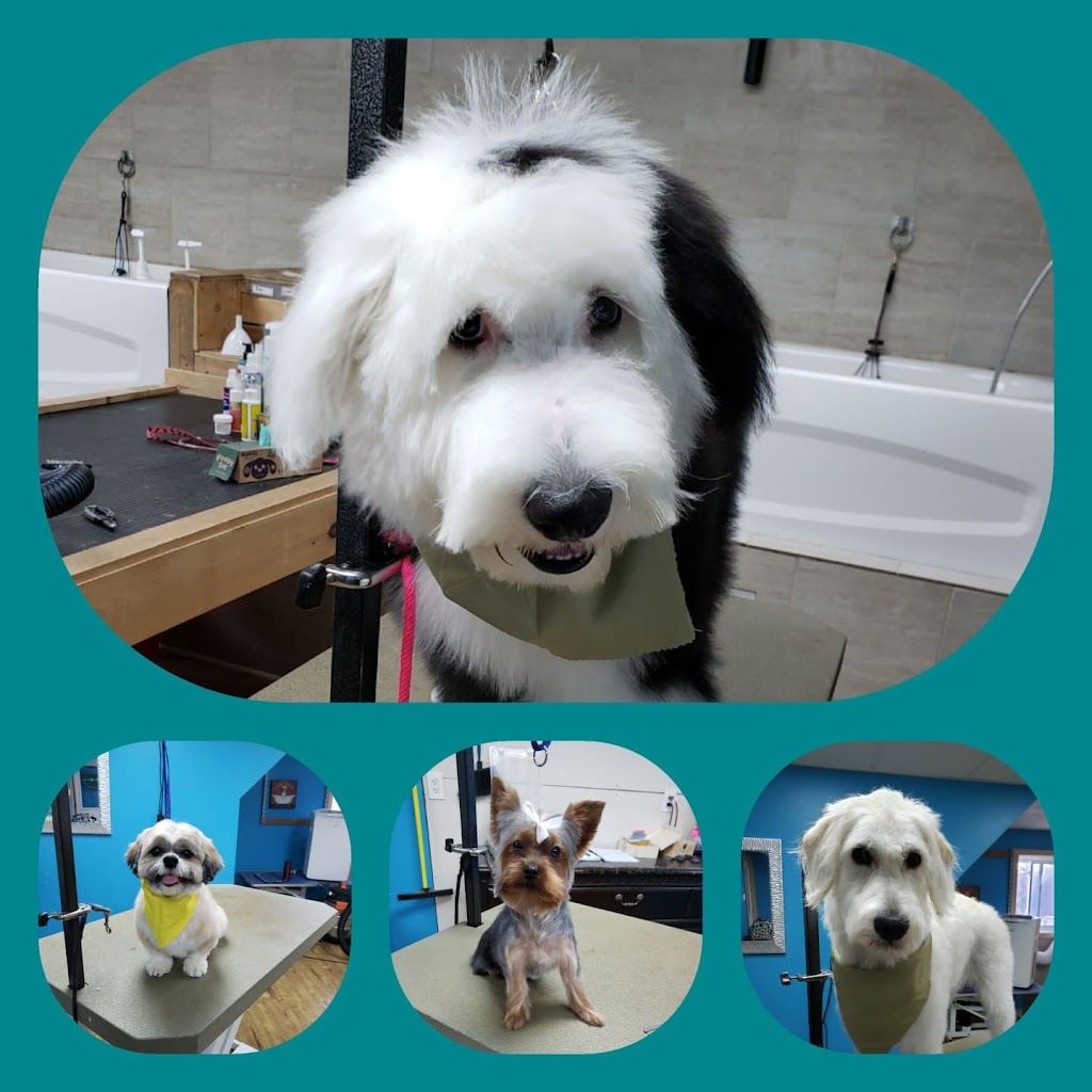 Healthy Hounds Pet Spa | 1412 Ashton Station Rd, Ottawa, ON K0A 1B0, Canada | Phone: (613) 862-0552