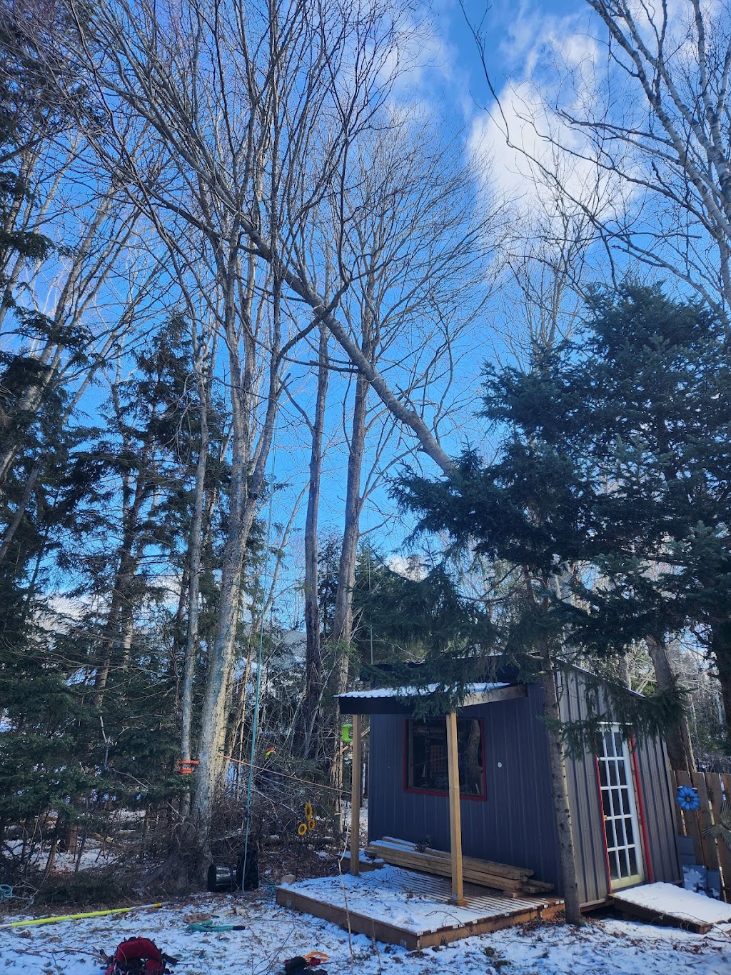 Shaded Tree Service | 10 Mountain Lee Rd, North River, NS B6L 6G8, Canada | Phone: (902) 890-2081