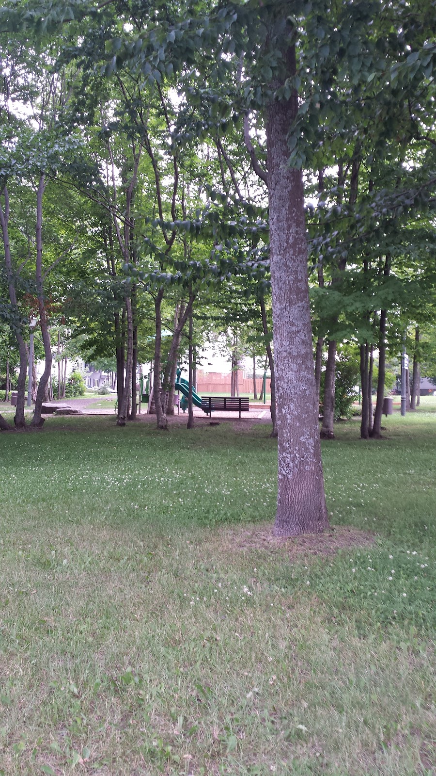 Parc Courteline | Rue Courteline, Québec, QC G3K 2E7, Canada