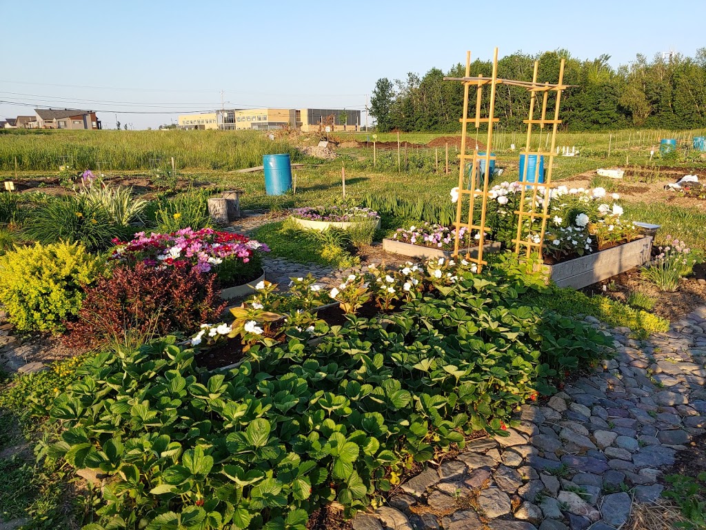 Pères Trinitaires | 200 Boulevard Robert, Granby, QC J2H 0R2, Canada | Phone: (450) 372-5125