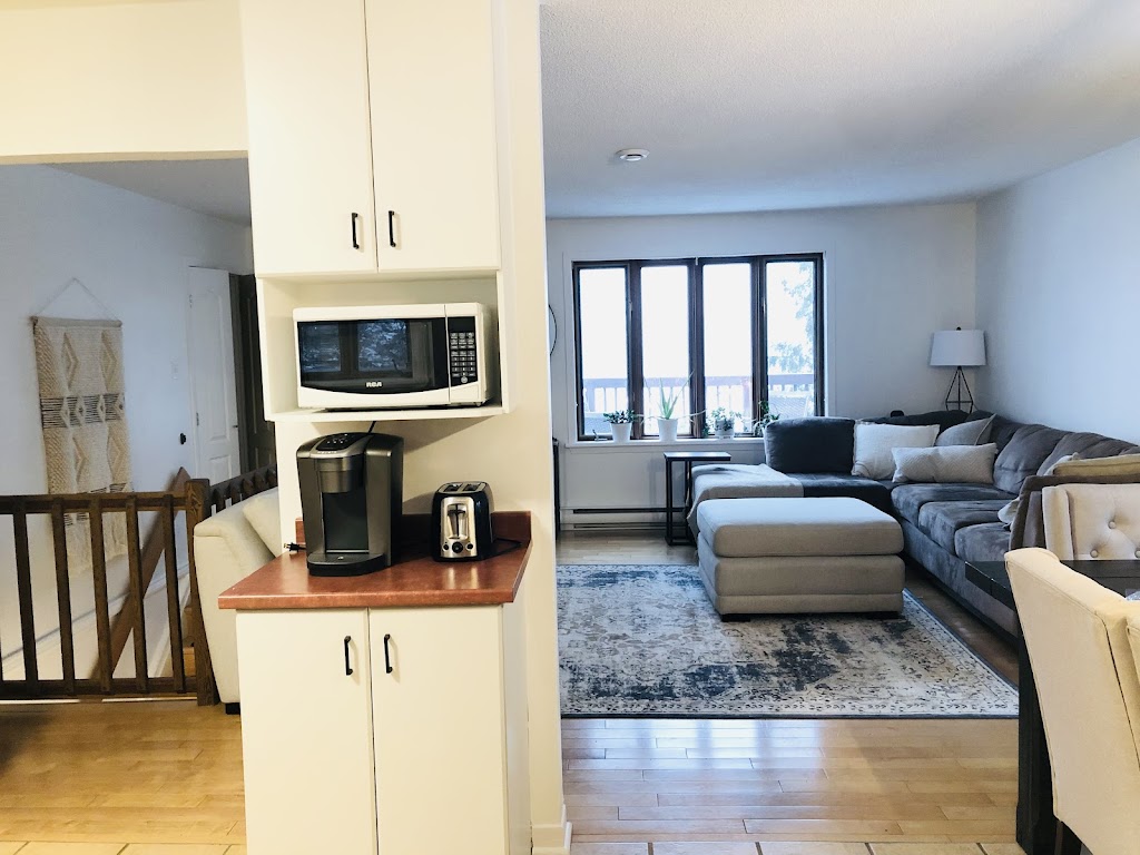 Lakeview chalets | 99 Chem. de la Promenade, Val-des-Monts, QC J8N 2E2, Canada | Phone: (613) 261-9383
