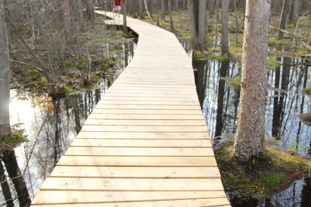 Sifton Bog | 1210 Oxford St W, London, ON N6H 4N2, Canada | Phone: (519) 661-4500