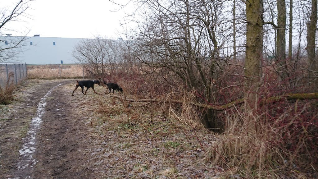 Stratford Dog Park | 159 Packham Rd, Stratford, ON N5A 6S4, Canada