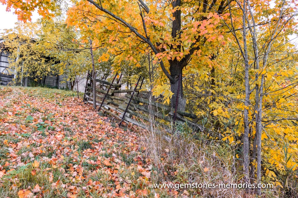 Sawmill Creek Farm Niagara | 437 Sawmill Rd, St. Catharines, ON L2R 6P7, Canada | Phone: (905) 246-6796