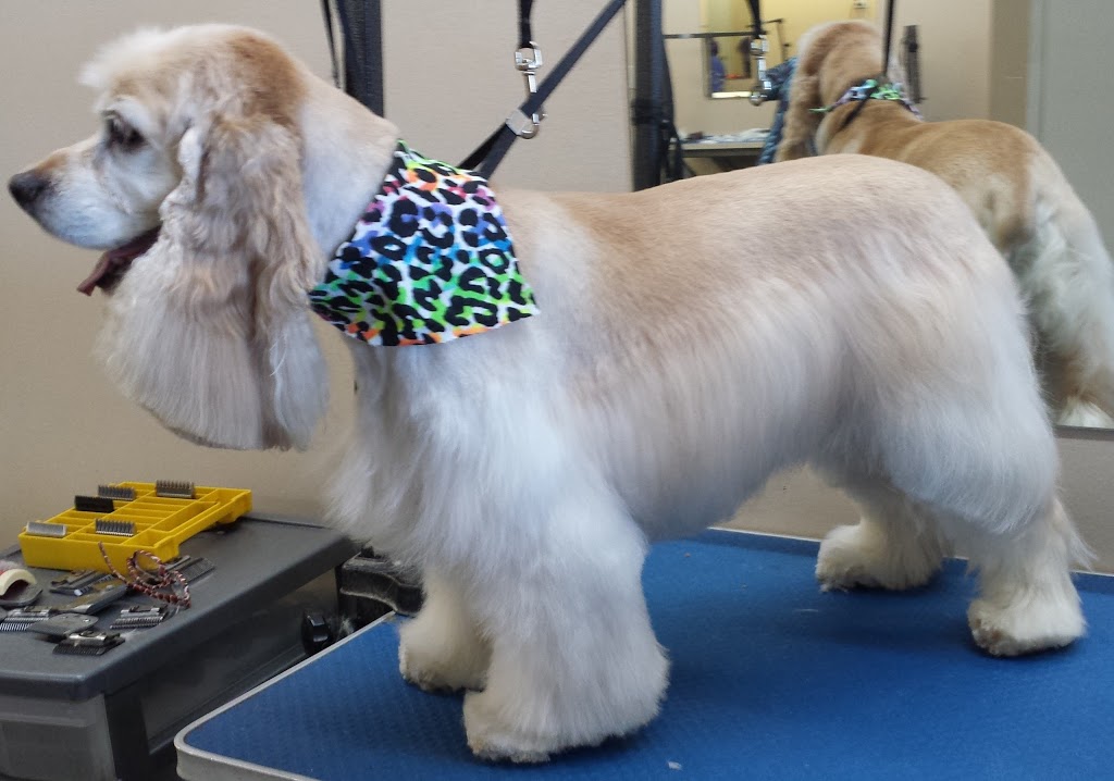 Adorable Dogs Grooming Spa | 575 Main St, Dartmouth, NS B2W 6A4, Canada | Phone: (902) 405-3647