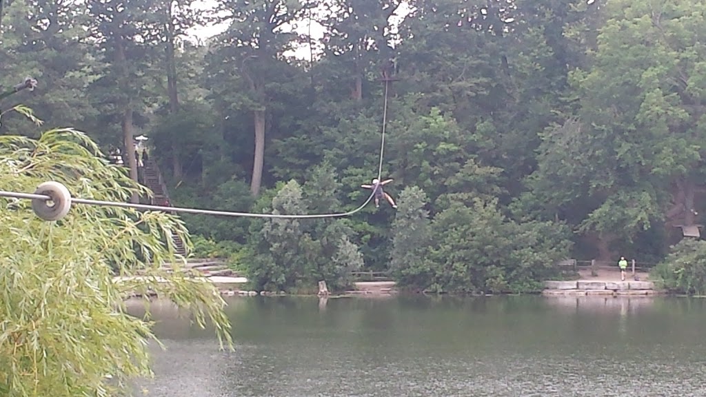 Treetop Trekking Brampton | 10818 Heart Lake Rd, Brampton, ON L6Z 0B3, Canada | Phone: (905) 970-0090