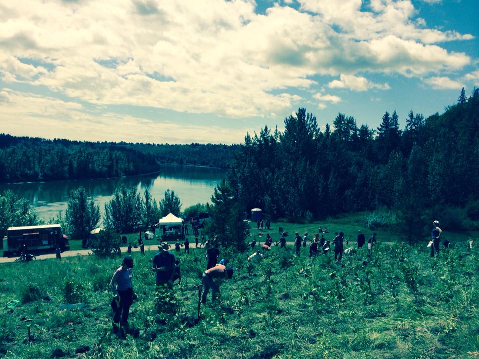 MacKinnon Food Forest | River Valley Capitol Hill, Edmonton, AB T5N 3M7, Canada
