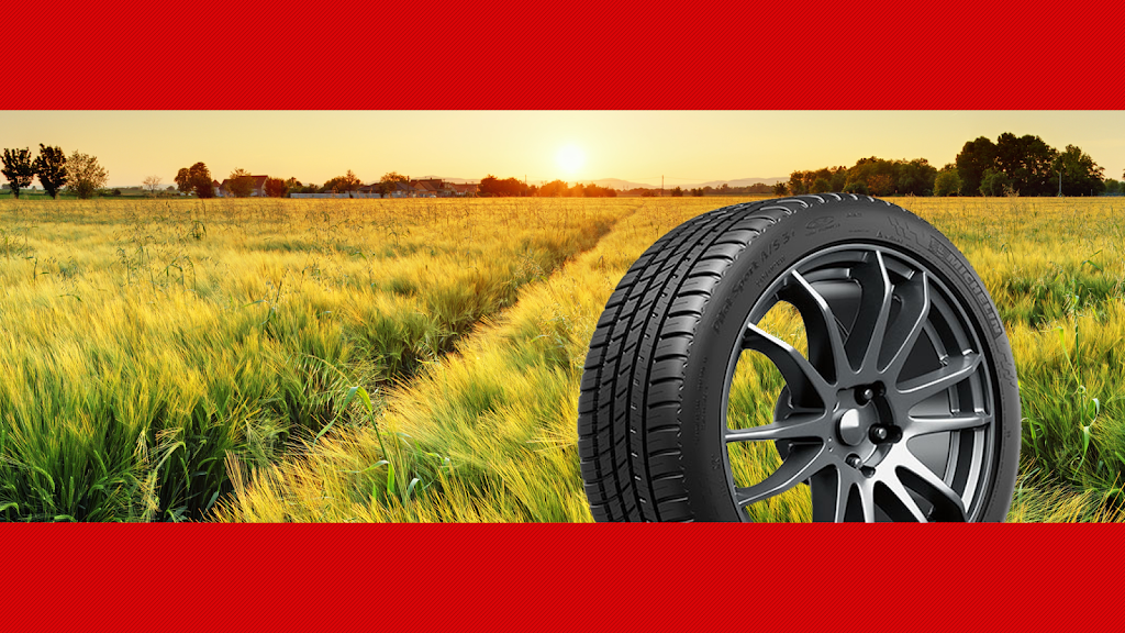 London Tire Sales Ltd | 6376 Egremont Dr, Komoka, ON N0L 1R0, Canada | Phone: (519) 666-1350