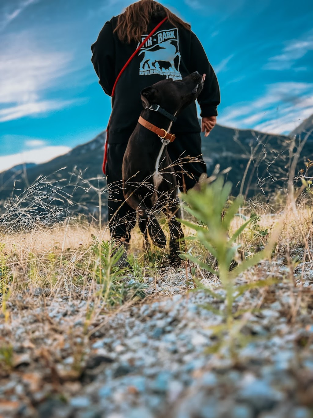 Fir and Bark | 38902 Bowen Ave #4, Squamish, BC V8B 0E8, Canada | Phone: (902) 441-9897