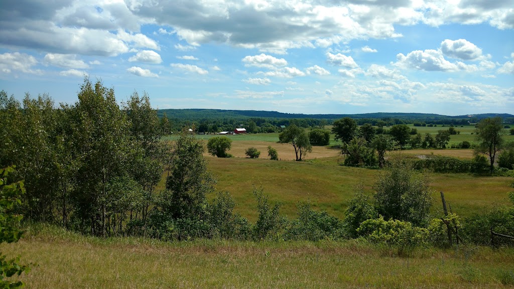 Firth Food Marketing | 340 Old Wooler Rd, Codrington, ON K0K 1R0, Canada | Phone: (613) 475-1412