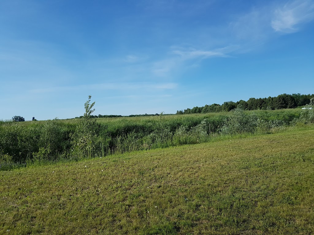 MacEwen Regional Office Maxville | 18 Adelaide St, Maxville, ON K0C 1T0, Canada | Phone: (613) 527-2100