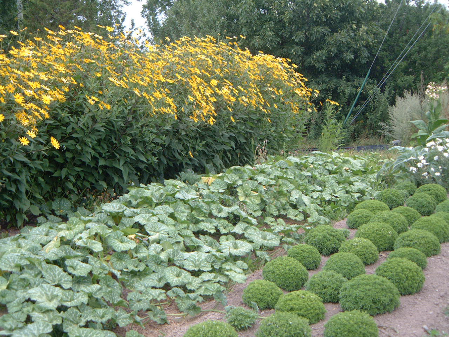 La société des plantes | 207 Rang de lEmbarras, Kamouraska, QC G0L 1M0, Canada | Phone: (418) 492-2493