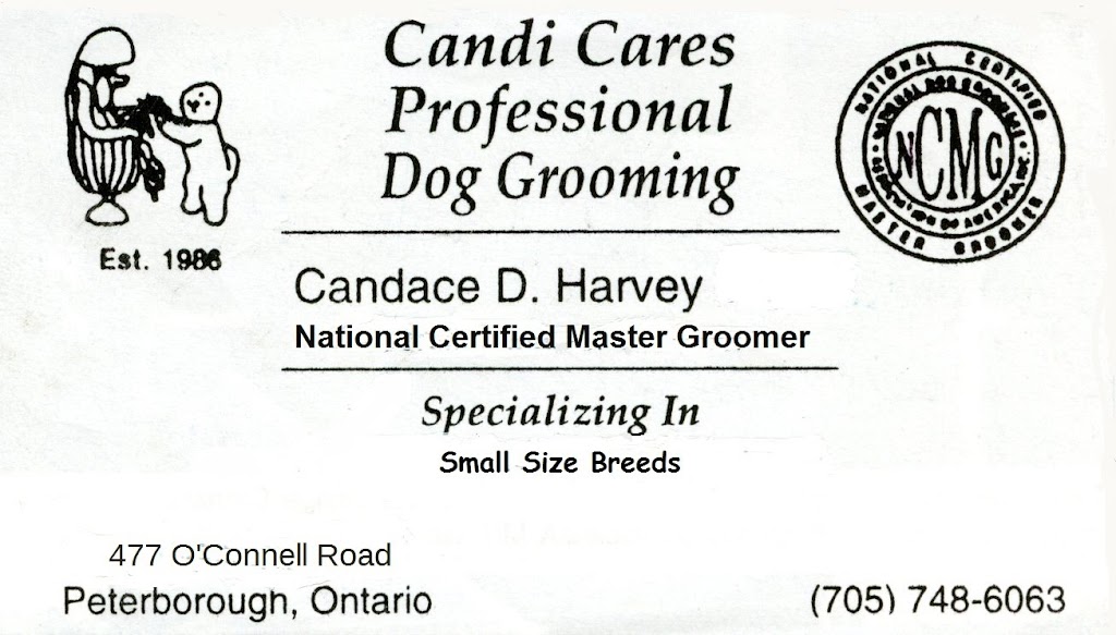 Candi Cares Professional Dog Grooming | 477 OConnell Rd, Peterborough, ON K9J 4E1, Canada | Phone: (705) 748-6063