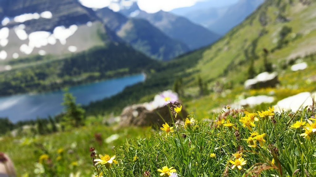 Village of Hill Spring | 11E 2 Ave S, Hill Spring, AB T0K 1E0, Canada | Phone: (403) 626-3876