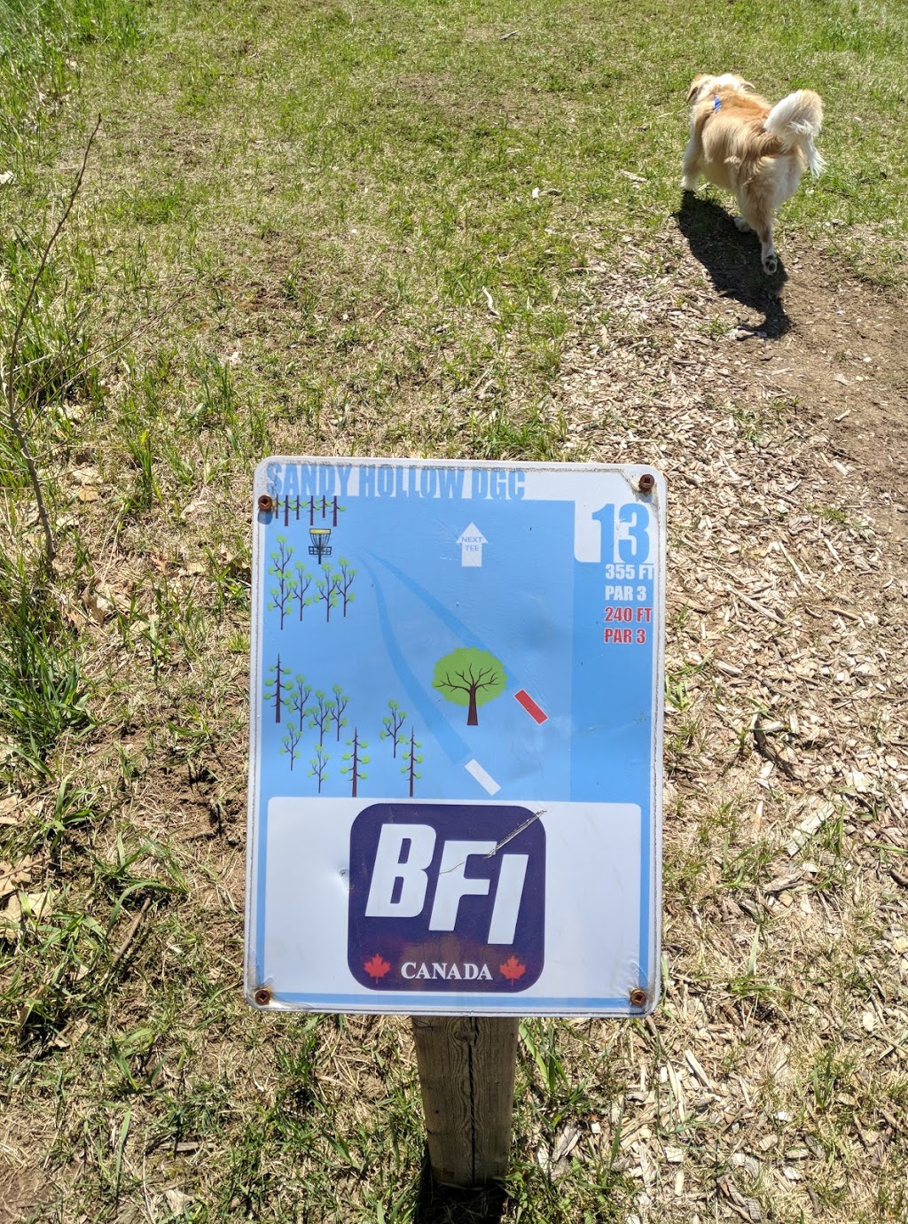 Sandy Hollow Disc Golf Course | 434 Ferndale Dr N, Barrie, ON L4N 7X6, Canada | Phone: (705) 795-2597