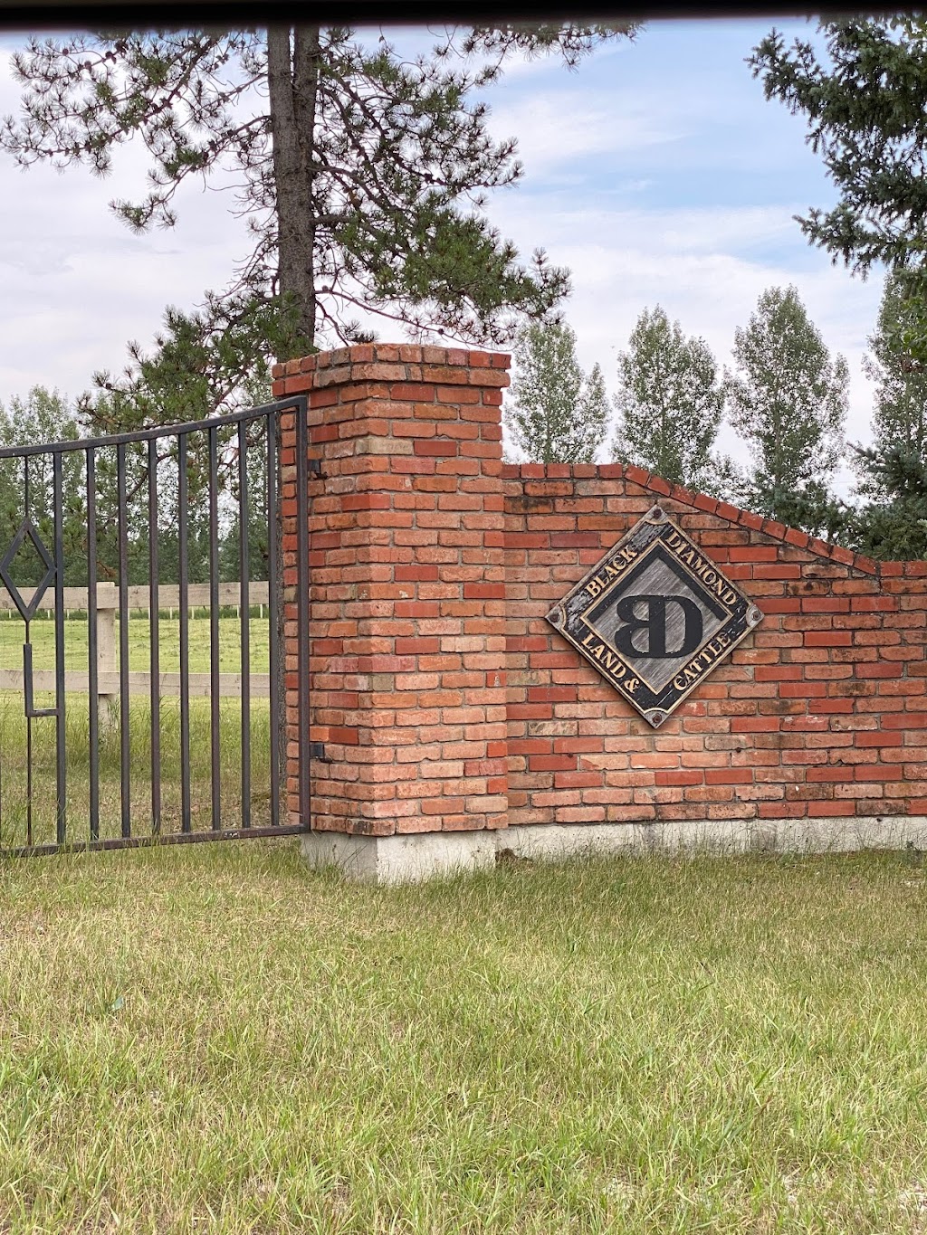 Black Diamond Land & Cattle Co. | Range Rd 25A, Millarville, AB T0L 1K0, Canada | Phone: (403) 408-7585