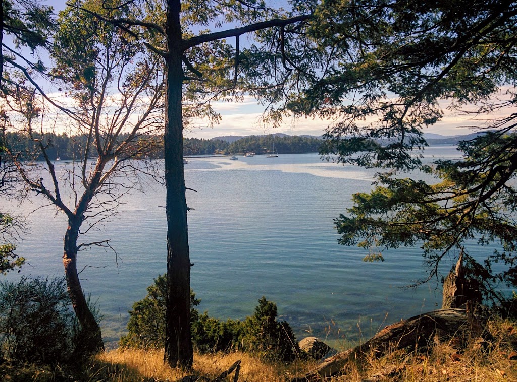 Winter Cove Marine Park | Church Bay Rd, Saturna, BC V0N 2Y0, Canada