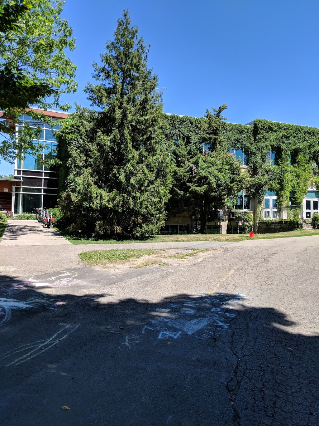 Trinity Community Recreation Centre | 155 Crawford St, Toronto, ON M6J 1G3, Canada | Phone: (416) 392-0743