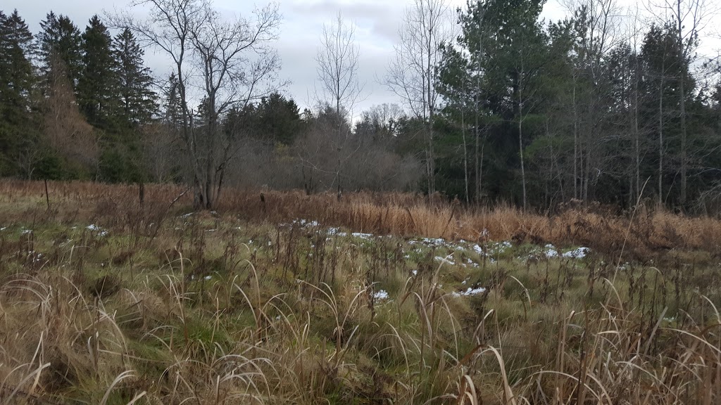Humber Trails | Toronto, ON L7B 1K4, Canada | Phone: (416) 661-6600